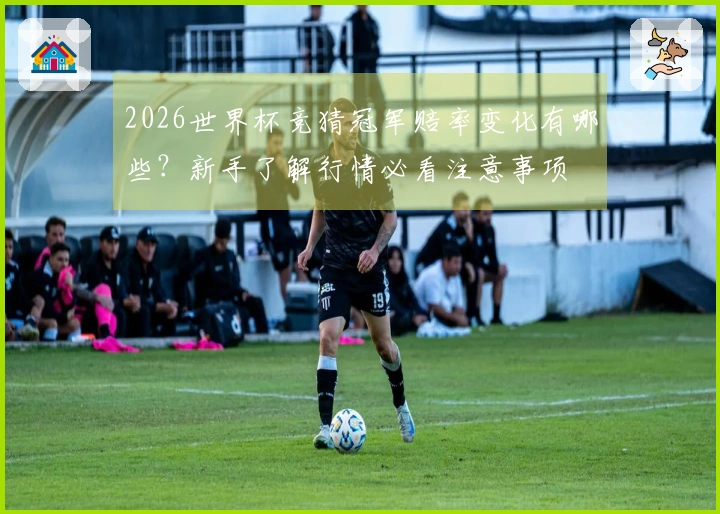2026世界杯竞猜冠军赔率变化有哪些？新手了解行情必看注意事项