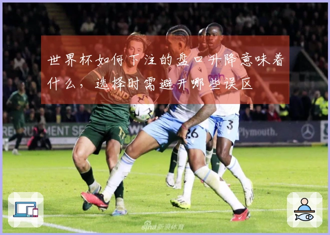 世界杯如何下注的盘口升降意味着什么，选择时需避开哪些误区