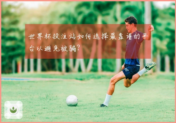 世界杯投注站如何选择最靠谱的平台以避免被骗？