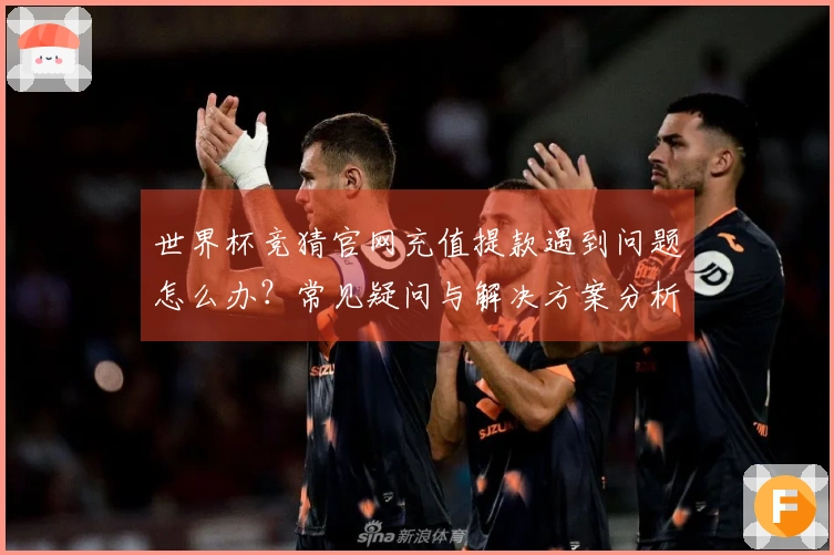 世界杯竞猜官网充值提款遇到问题怎么办？常见疑问与解决方案分析