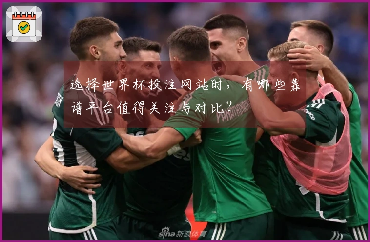 选择世界杯投注网站时，有哪些靠谱平台值得关注与对比？