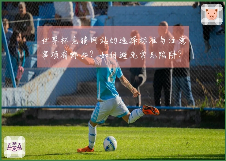 世界杯竞猜网站的选择标准与注意事项有哪些？如何避免常见陷阱？