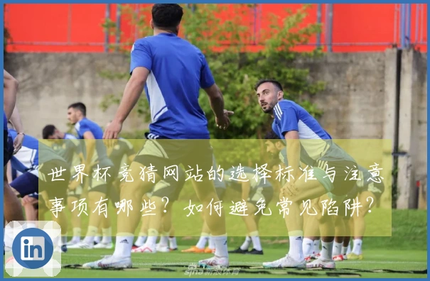 世界杯竞猜网站的选择标准与注意事项有哪些？如何避免常见陷阱？