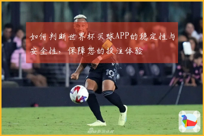 如何判断世界杯买球APP的稳定性与安全性，保障您的投注体验
