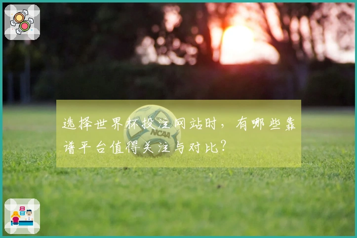 选择世界杯投注网站时，有哪些靠谱平台值得关注与对比？