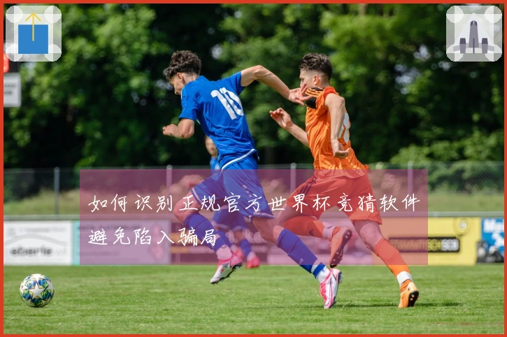 如何识别正规官方世界杯竞猜软件避免陷入骗局